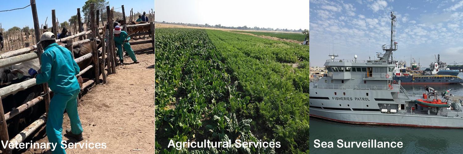 First Responsive Image